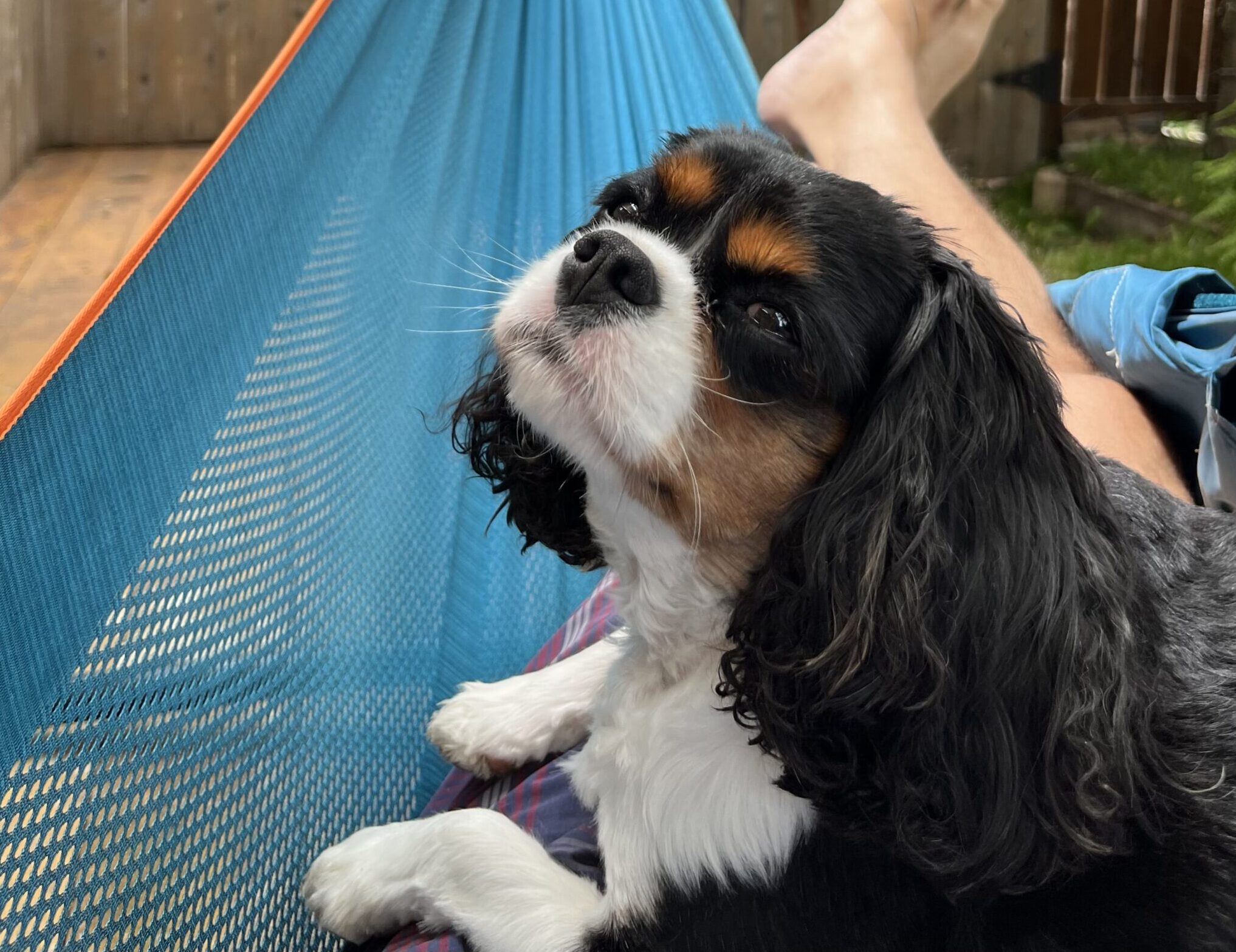 La conscience des choses