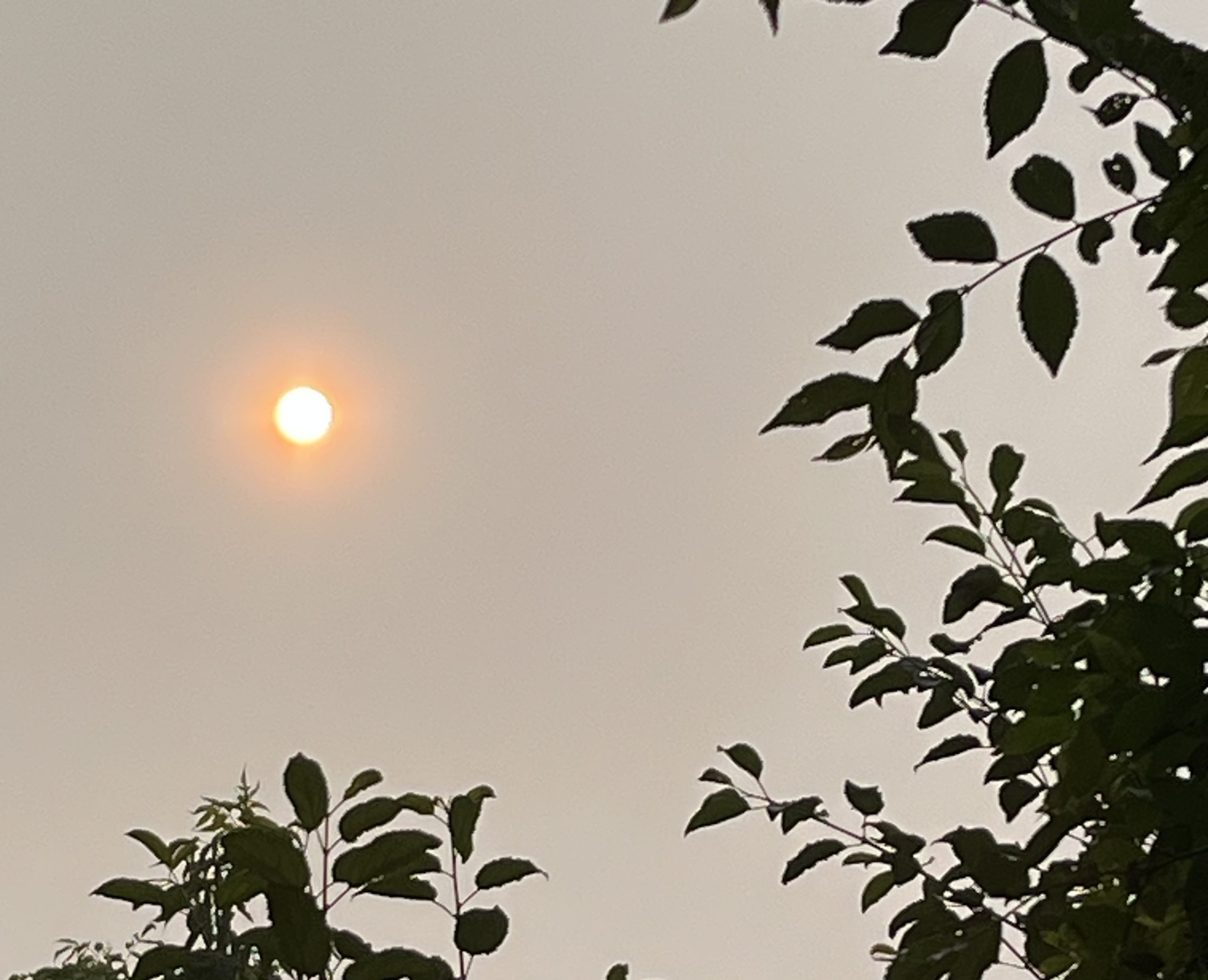 Une insolation fatale